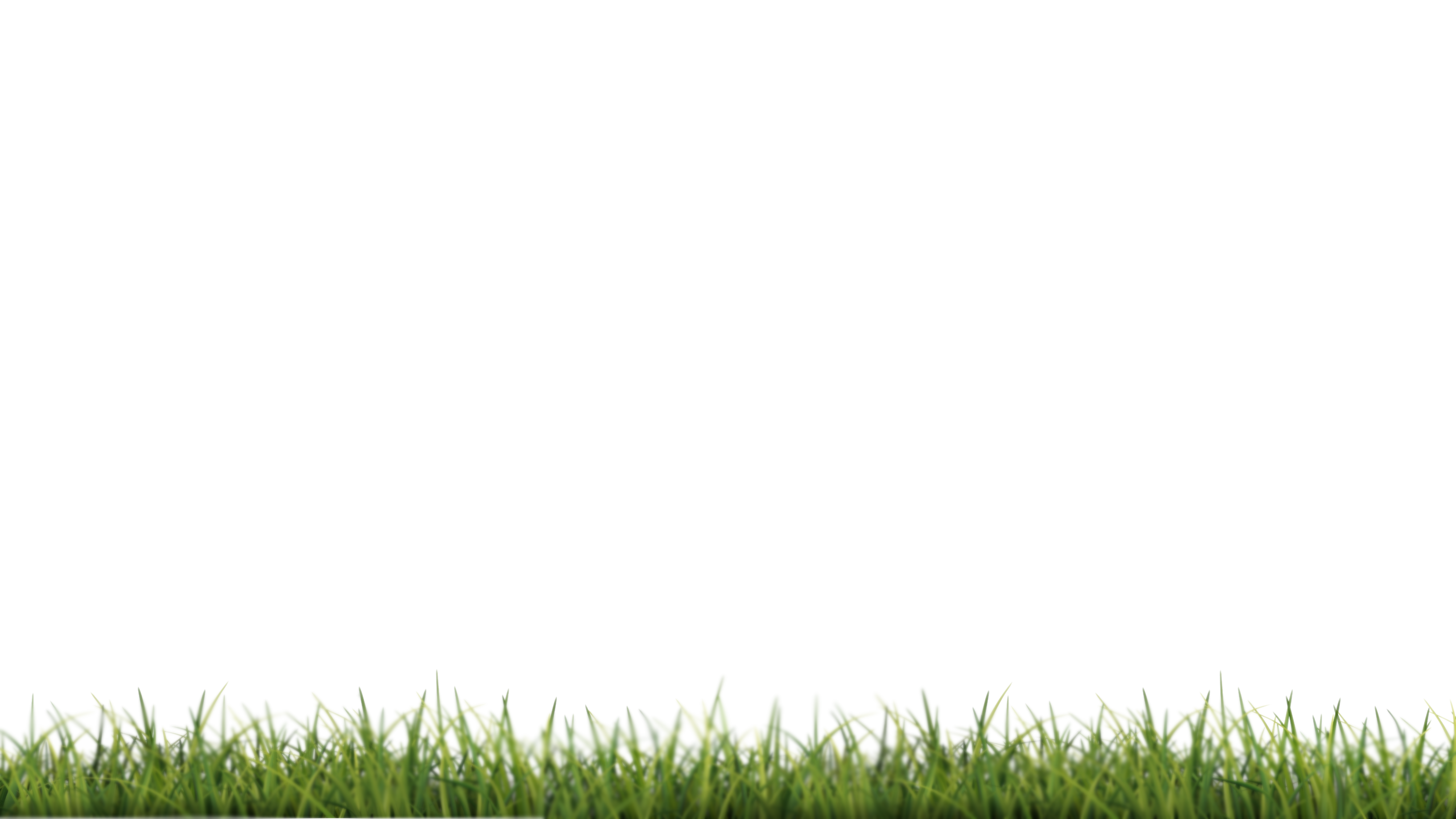 Grass